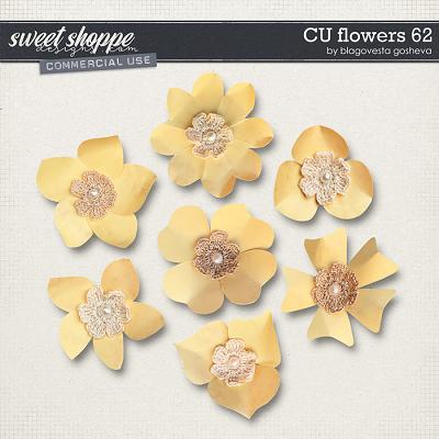 CU Flowers 62 by Blagovesta Gosheva
