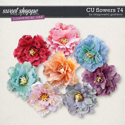 CU Flowers 74 by Blagovesta Gosheva