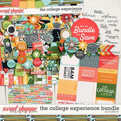 The College Experience Bundle by Studio Liv