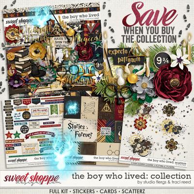 The Boy Who Lived: COLLECTION by Studio Flergs & Traci Reed