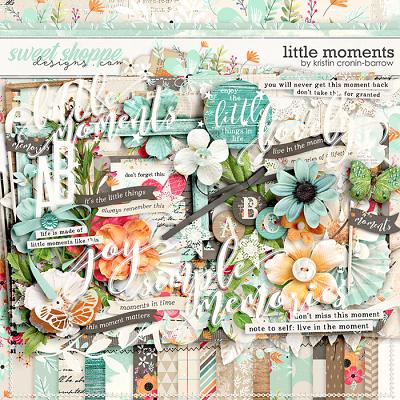 Little Moments by Kristin Cronin-Barrow