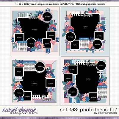 Cindy's Layered Templates - Set 258: Photo Focus 117 by Cindy Schneider