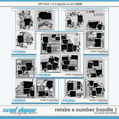Retake All The Numbers Bundle 1 by Cindy Schneider