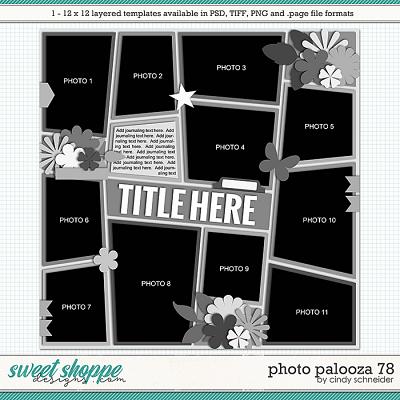 Cindy's Layered Templates - Photo Palooza 78 by Cindy Schneider