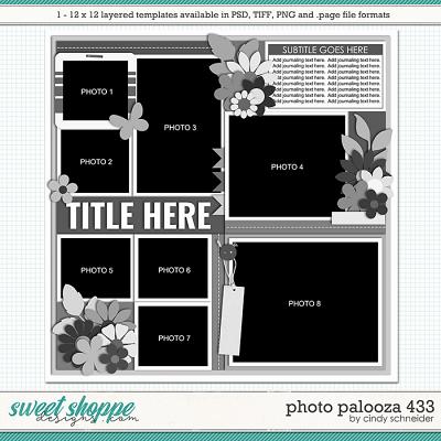 Cindy's Layered Templates - Photo Palooza 433 by Cindy Schneider