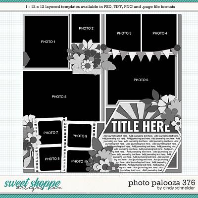 Cindy's Layered Templates - Photo Palooza 376 by Cindy Schneider