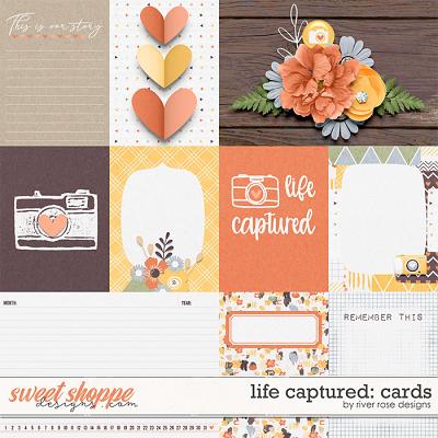 Life Captured: Cards by River Rose Designs