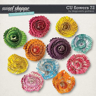 CU Flowers 72 by Blagovesta Gosheva