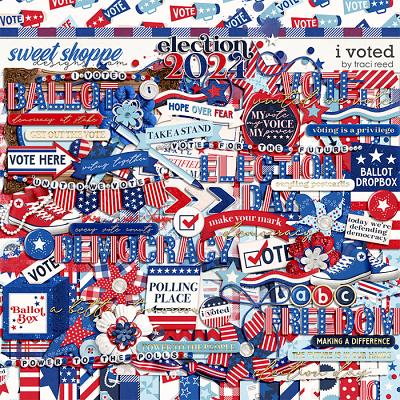 I Voted by Traci Reed