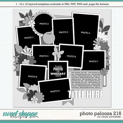 Cindy's Layered Templates - Photo Palooza 216 by Cindy Schneider