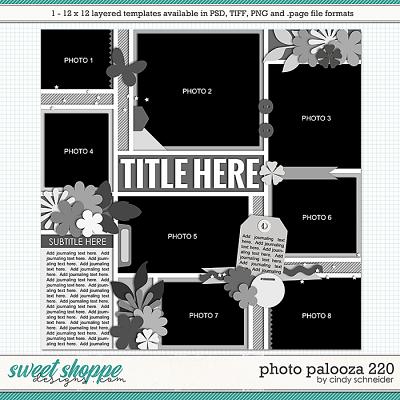 Cindy's Layered Templates - Photo Palooza 220 by Cindy Schneider