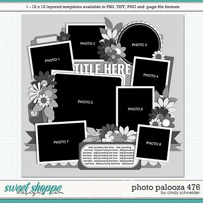 Cindy's Layered Templates - Photo Palooza 476 by Cindy Schneider