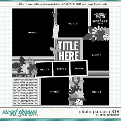 Cindy's Layered Templates - Photo Palooza 315 by Cindy Schneider