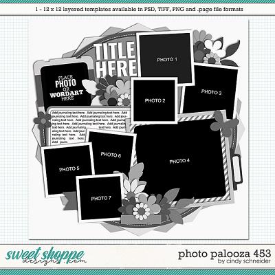 Cindy's Layered Templates - Photo Palooza 453 by Cindy Schneider