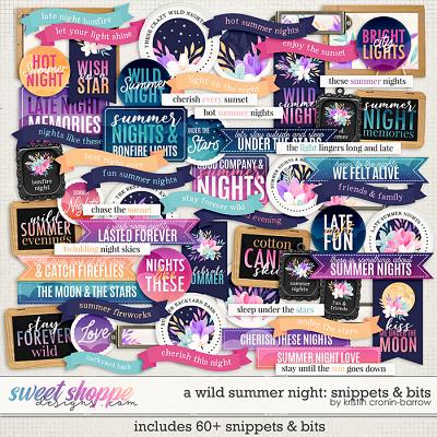 A Wild Summer Night: Snippets & Bits by Kristin Cronin-Barrow