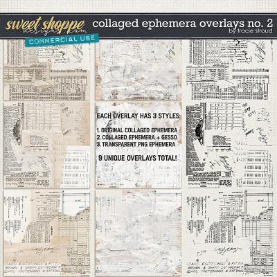 CU Collaged Ephemera Overlays no. 2 by Tracie Stroud