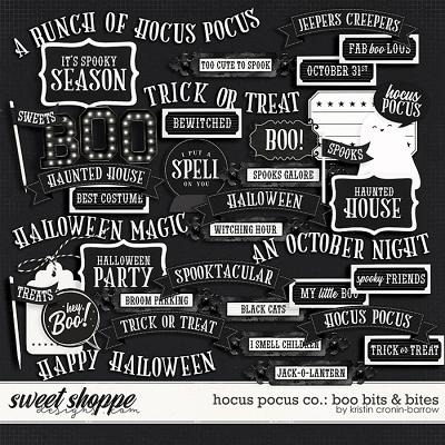 Hocus Pocus Co: Boo Bits and Bites by Kristin Cronin-Barrow