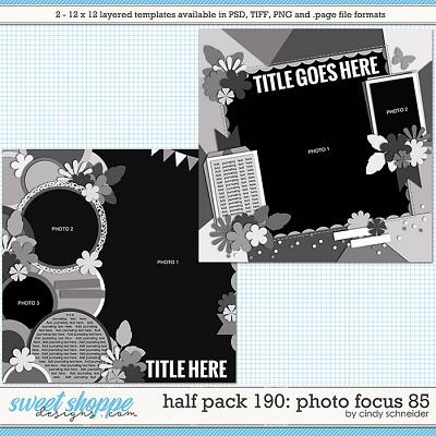 Cindy's Layered Templates - Half Pack 190: Photo Focus 85 by Cindy Schneider