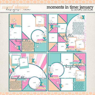 Moments in Time January Layered Templates by Amber