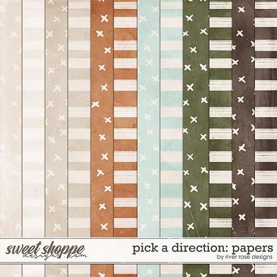 Pick a Direction: Papers by River Rose Designs