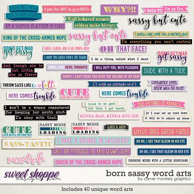 Born Sassy Word Arts by Clever Monkey Graphics
