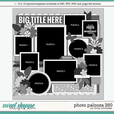 Cindy's Layered Templates - Photo Palooza 260 by Cindy Schneider