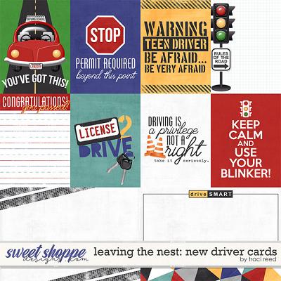 Leaving The Nest: New Driver Cards by Traci Reed