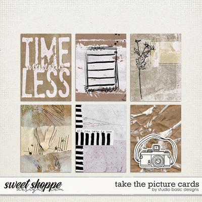 Take The Picture Cards by Studio Basic