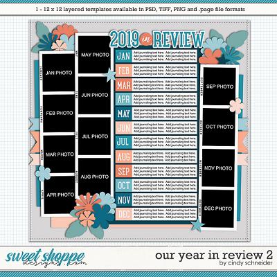 Cindy's Layered Templates - Our Year in Review 2 by Cindy Schneider