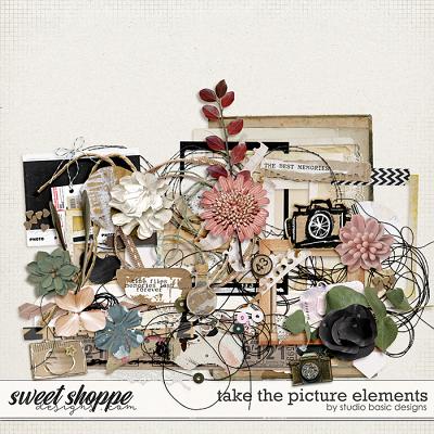 Take The Picture Elements by Studio Basic