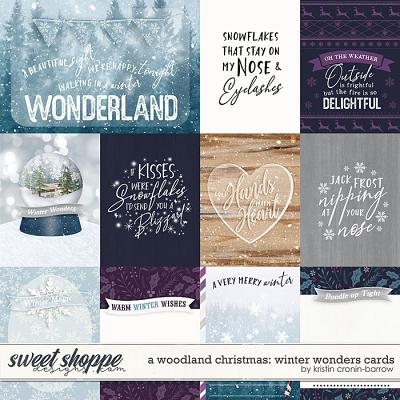 A Woodland Christmas: Winter Wonders Cards by Kristin Cronin-Barrow 