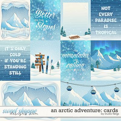 An Arctic Adventure: CARDS by Studio Flergs