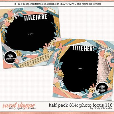 Cindy's Layered Templates - Half Pack 314: Photo Focus 116 by Cindy Schneider