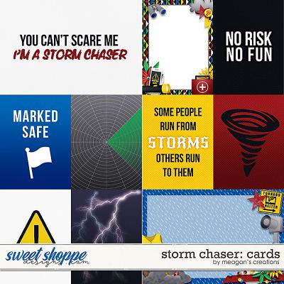 Storm Chaser: Cards by Meagan's Creations