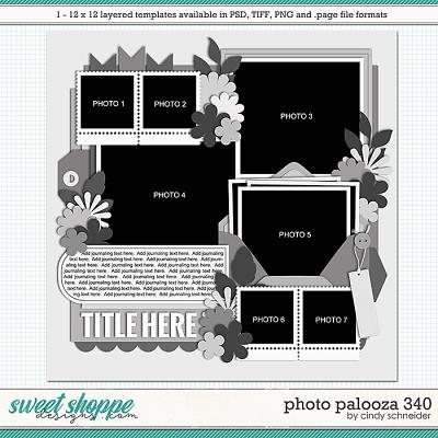 Cindy's Layered Templates - Photo Palooza 340 by Cindy Schneider