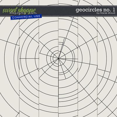 CU Geocircles no. 1 by Tracie Stroud