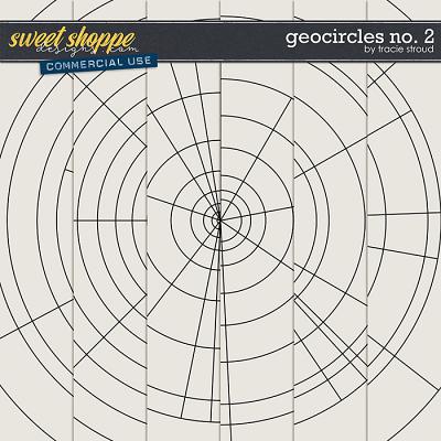 CU Geocircles no. 2 by Tracie Stroud