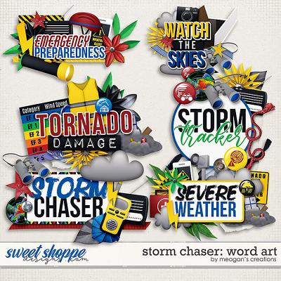 Storm Chaser: Word Art by Meagan's Creations