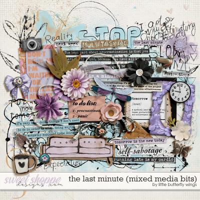 The last minute (mixed media bits) by Little Butterfly Wings