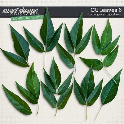 CU Leaves 6 by Blagovesta Gosheva