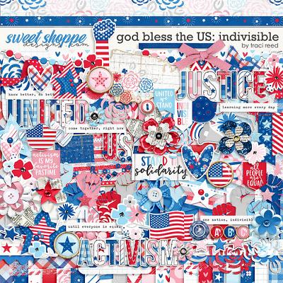 God Bless The US: Indivisible by Traci Reed