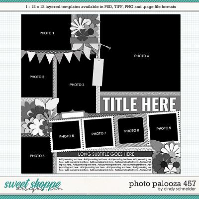 Cindy's Layered Templates - Photo Palooza 457 by Cindy Schneider
