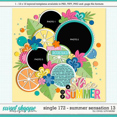Cindy's Layered Templates - Single 172: Summer Sensation 13 by Cindy Schneider