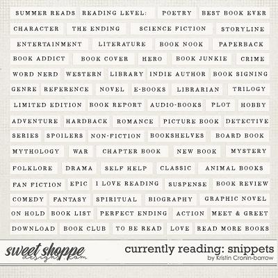 Currently Reading: Snippets by Kristin Cronin-Barrow