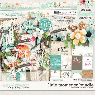 Little Moments: Bundle by Kristin Cronin-Barrow 