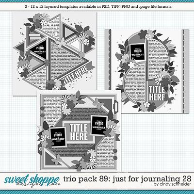 Cindy's Layered Templates - Trio Pack 89: Just for Journaling 28 by Cindy Schneider