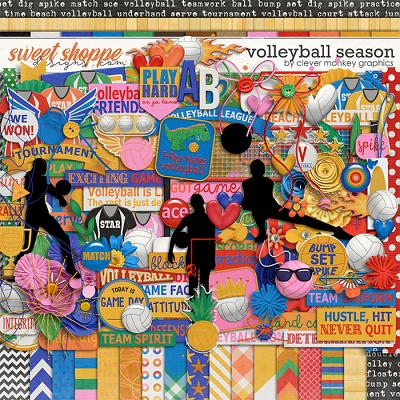 Volleyball Season by Clever Monkey Graphics  