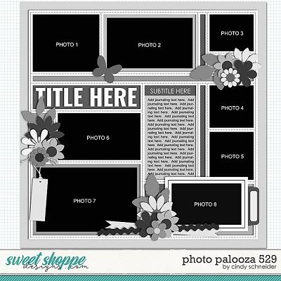 Cindy's Layered Templates - Photo Palooza 529 by Cindy Schneider