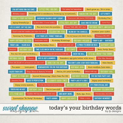 Today's Your Birthday Words by LJS Designs 