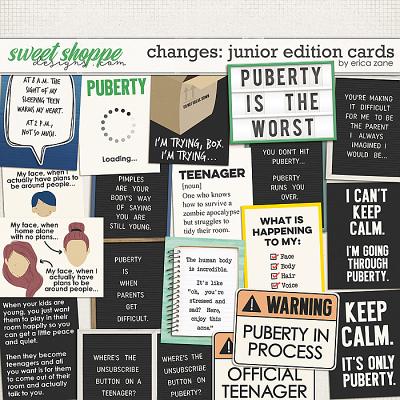 Changes Junior Edition: Cards by Erica Zane